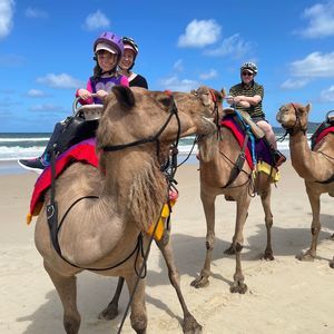 Meet your Posher, Bill